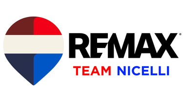 TEAM NICELLI logo