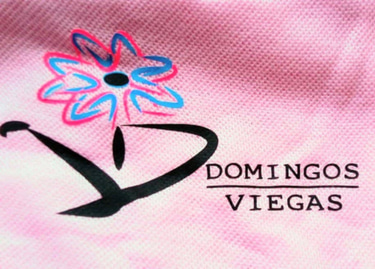 VIEGAS E DOMINGOS logo