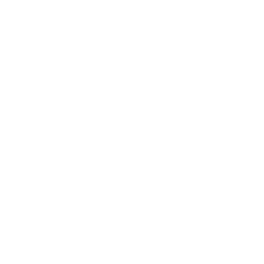 Sure Pictures logo