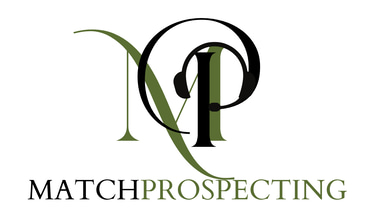 MatchProspecting logo