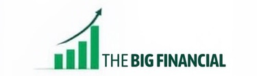 The Big Financial logo