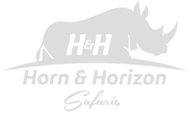 Horn and Horizons Safari logo