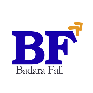 BadaraFall logo