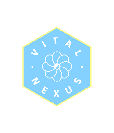 Vital Nexus: Moving for Wellbeing, Empowerment and Joy logo