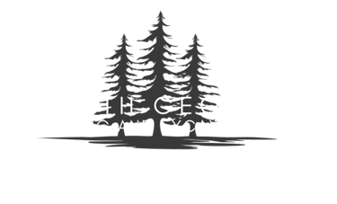 North Georgia Clearing And Excavation LLC logo