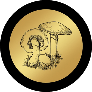 Golden Facilitator logo