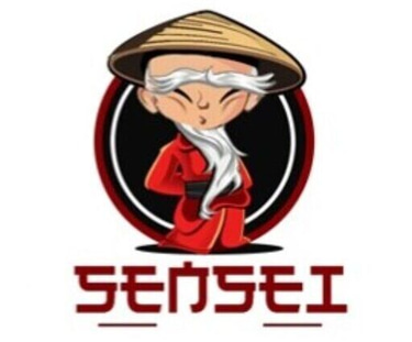 IlSensei Conculenza d'immagine logo
