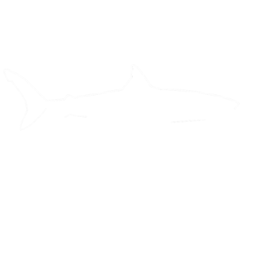 Shark Education Club logo
