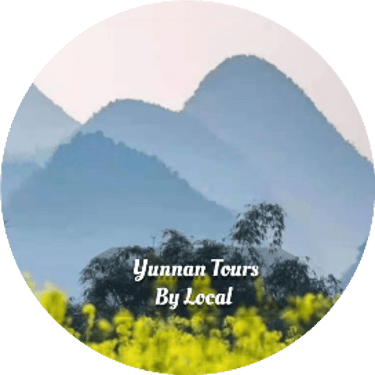 Yunnan Tours By Local logo