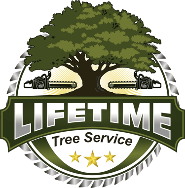 LIFETIME TREE SERVICE logo