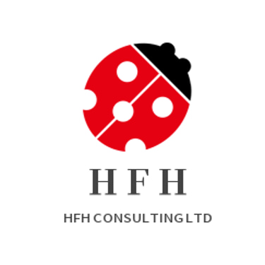 HFH CONSULTING LTD logo