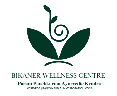 Bikaner Wellness Center logo