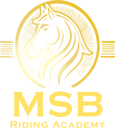 MSB Equine Academy logo