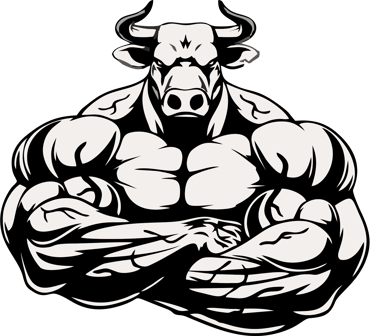 Bull Fitness Gym logo