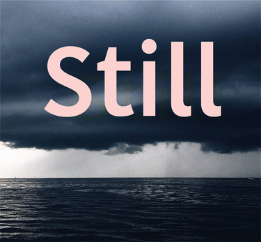 Home of Still, Australian singer songwriter's online store logo