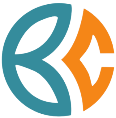 BC LOGISTIC logo