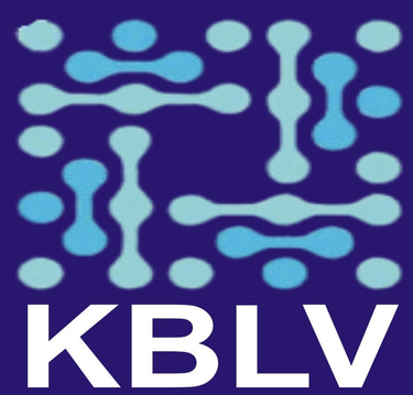 KBLV VENTURE CONSULTANCY logo