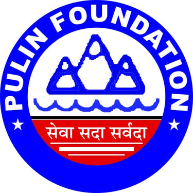 PULIN FOUNDATION logo