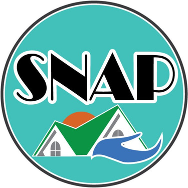 Professional local Real estate agent logo