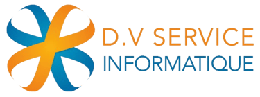 DV SERVICE INFORMATIQUE logo