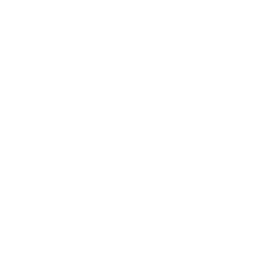 Oaxaca Foundation for Education & the Arts (OFEA) logo