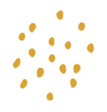 Marrije Verspuij dierencommunicatie logo