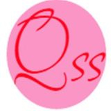 Qalriss Services - renew insurans & roadtax logo