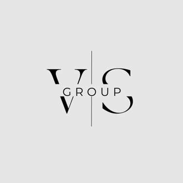 VS GROUP logo
