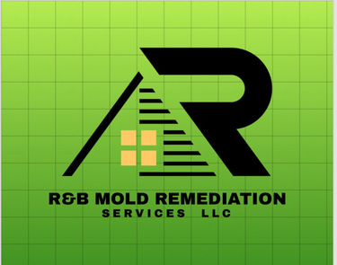 R&B Mold Remediation Services LLC logo