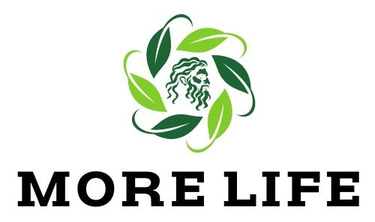 Ibleo Smart – Vivi il Cuore della Sicilia Orientale logo