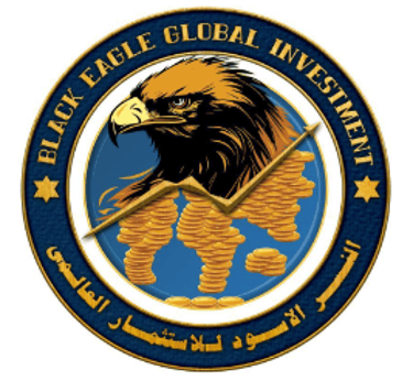 Black Eagle Investment logo