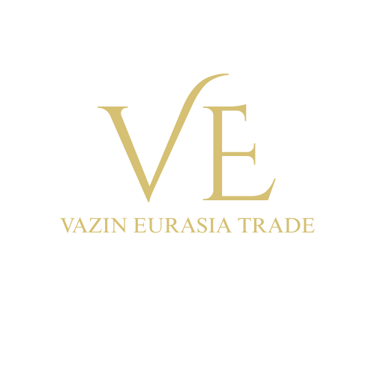 Vazin Eurasia logo