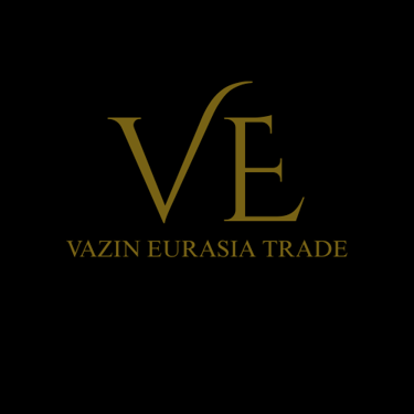 Vazin Eurasia logo