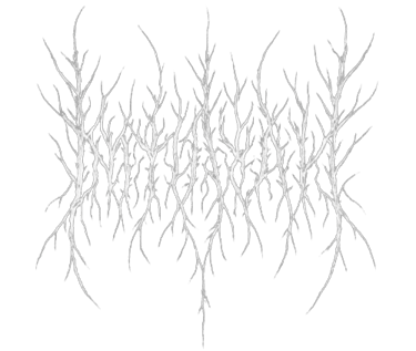 Imtiazaki logo