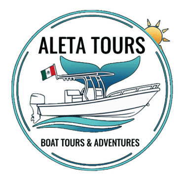 Aleta Tours logo