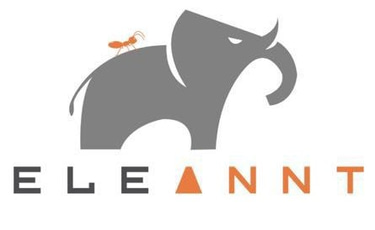 https://www.elieantinstitutes.com logo