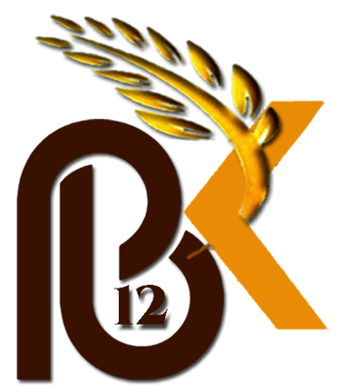 Potal Bora Kalikur logo