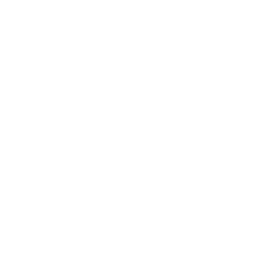 DeLeones Tango Orquesta logo