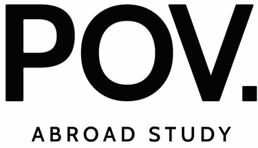 POV logo