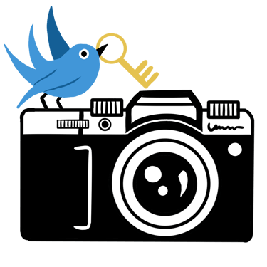 Nest & Key Photography logo