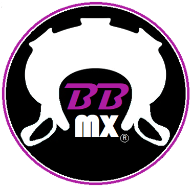 BOLSA BÚLGARA MX logo