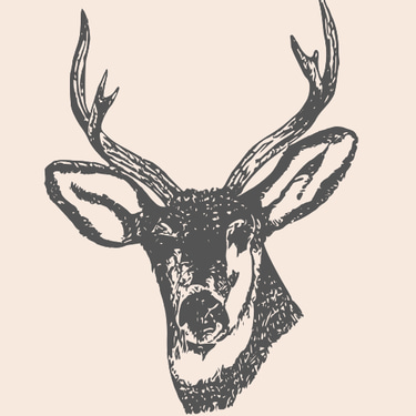 Deer Hunting Essentials logo