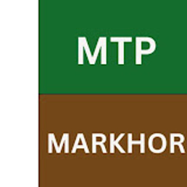 Mutahida Thehreek e Pakistan Party logo