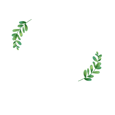 Qudrat Studio logo