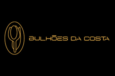 Bulhões da Costa logo