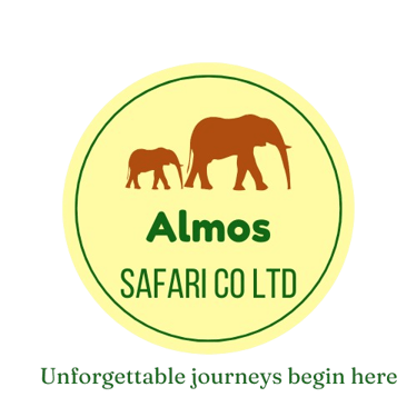 Jambo Maasai Tours logo