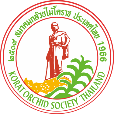 korat orchids thailand logo