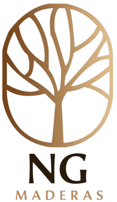 NG logo