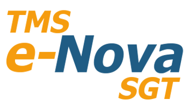 e-Nova Sistemas de Informação logo