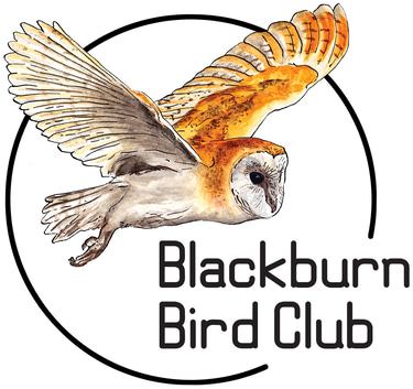 Blackburn Bird Club logo